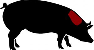 porc ecològic cap llom