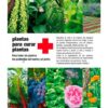 Plantas para curar plantas (Llibre)