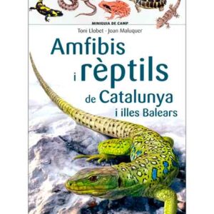 Amfibis i rèptils de Catalunya i illes Balears (Llibre)